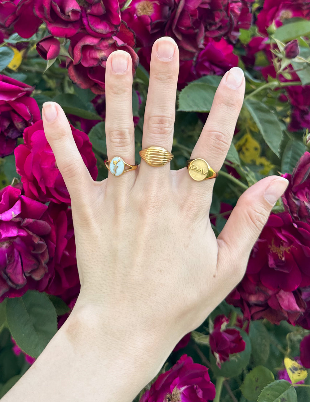 Anillo de la Profecía