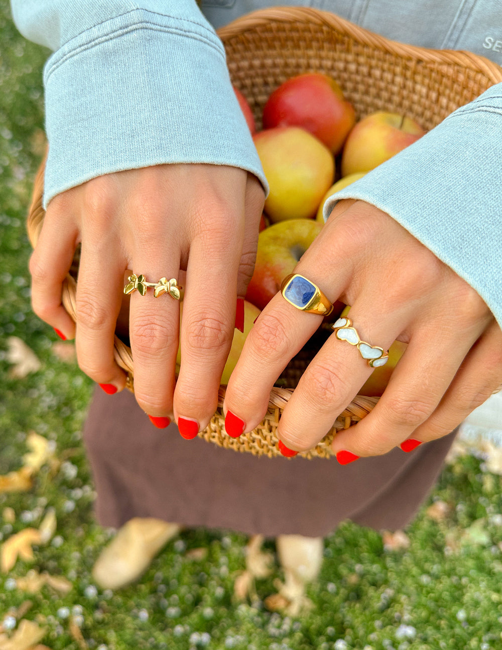Anillo Vuelo de Mariposa