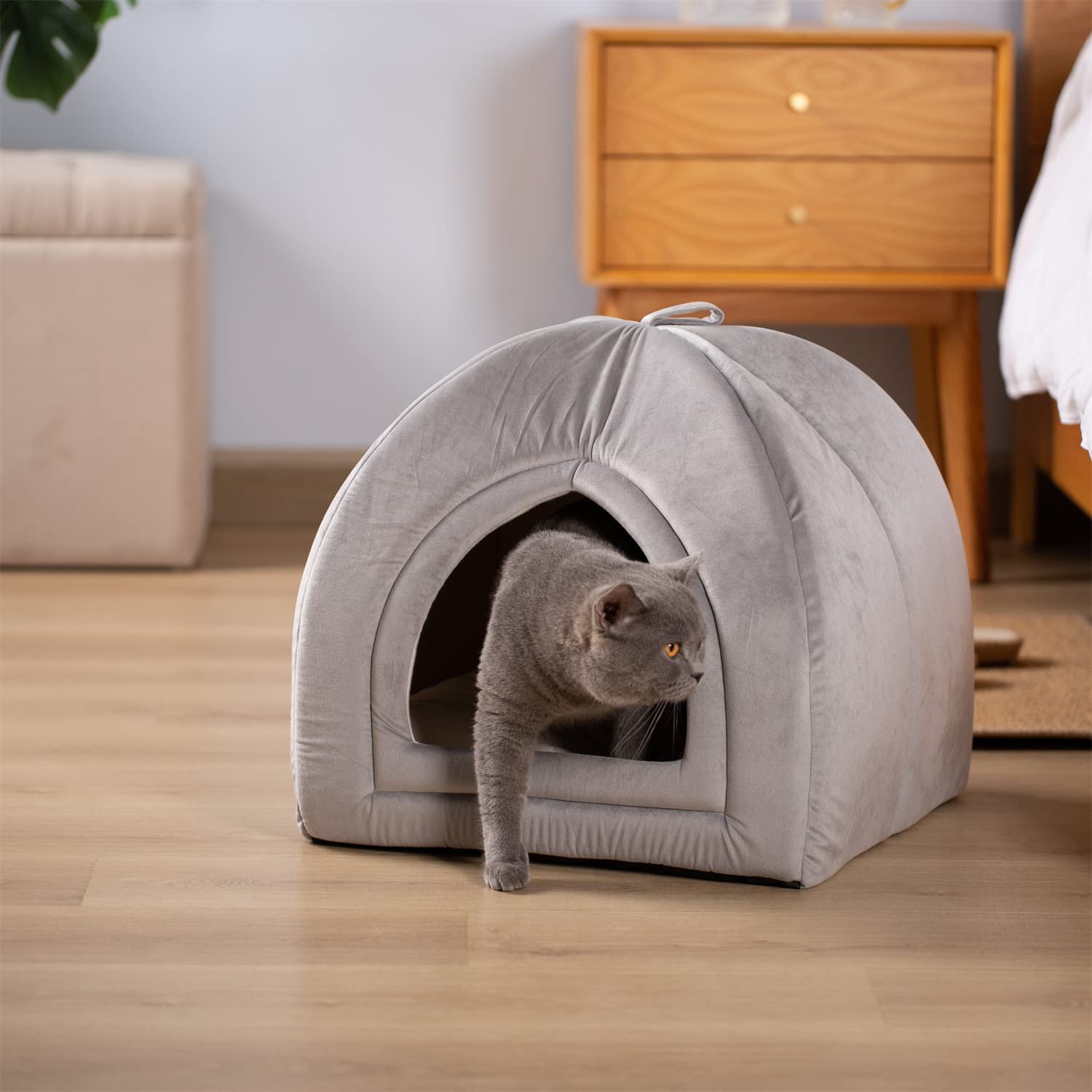 Kasentex Cat Bed, Lovely Tent with Removable Washable Pillow Cushion