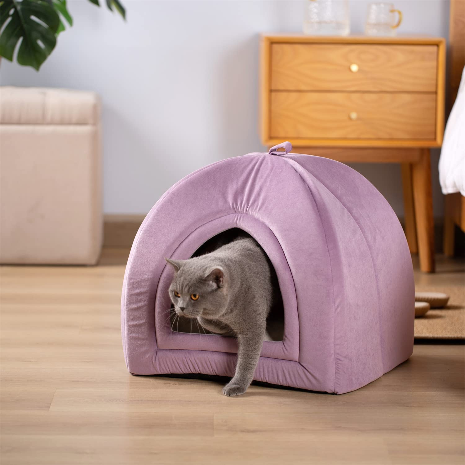 Kasentex Cat Bed, Lovely Tent with Removable Washable Pillow Cushion