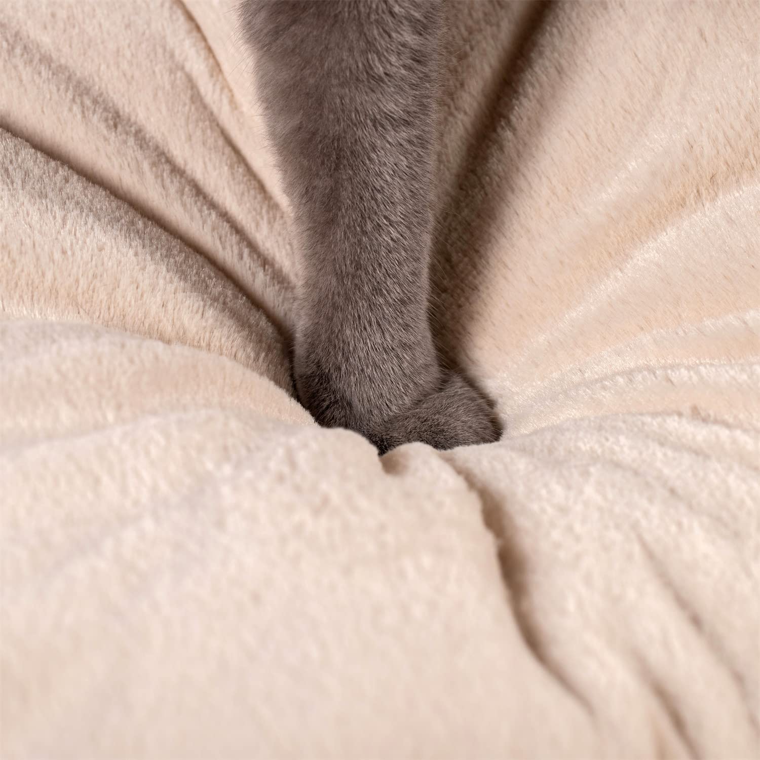 Kasentex Cat Bed, Lovely Tent with Removable Washable Pillow Cushion