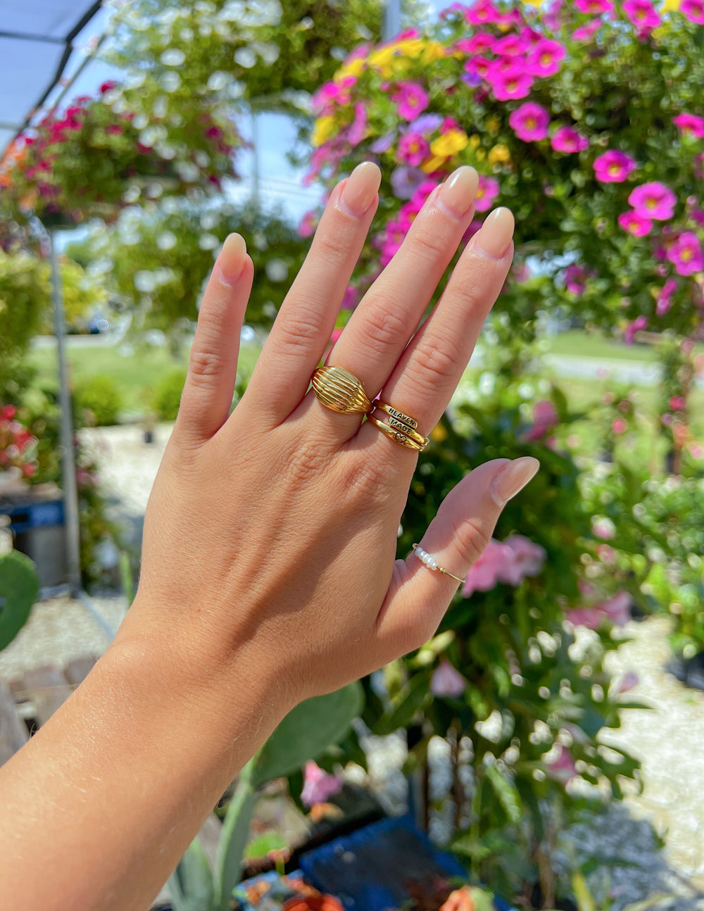 Anillo de la Profecía