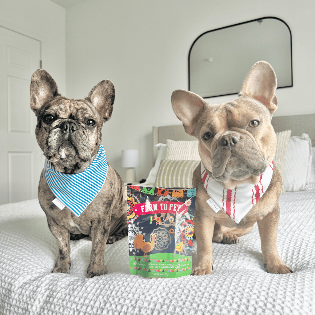Dog Treats Party Pack | Dog Treat Variety Bundle