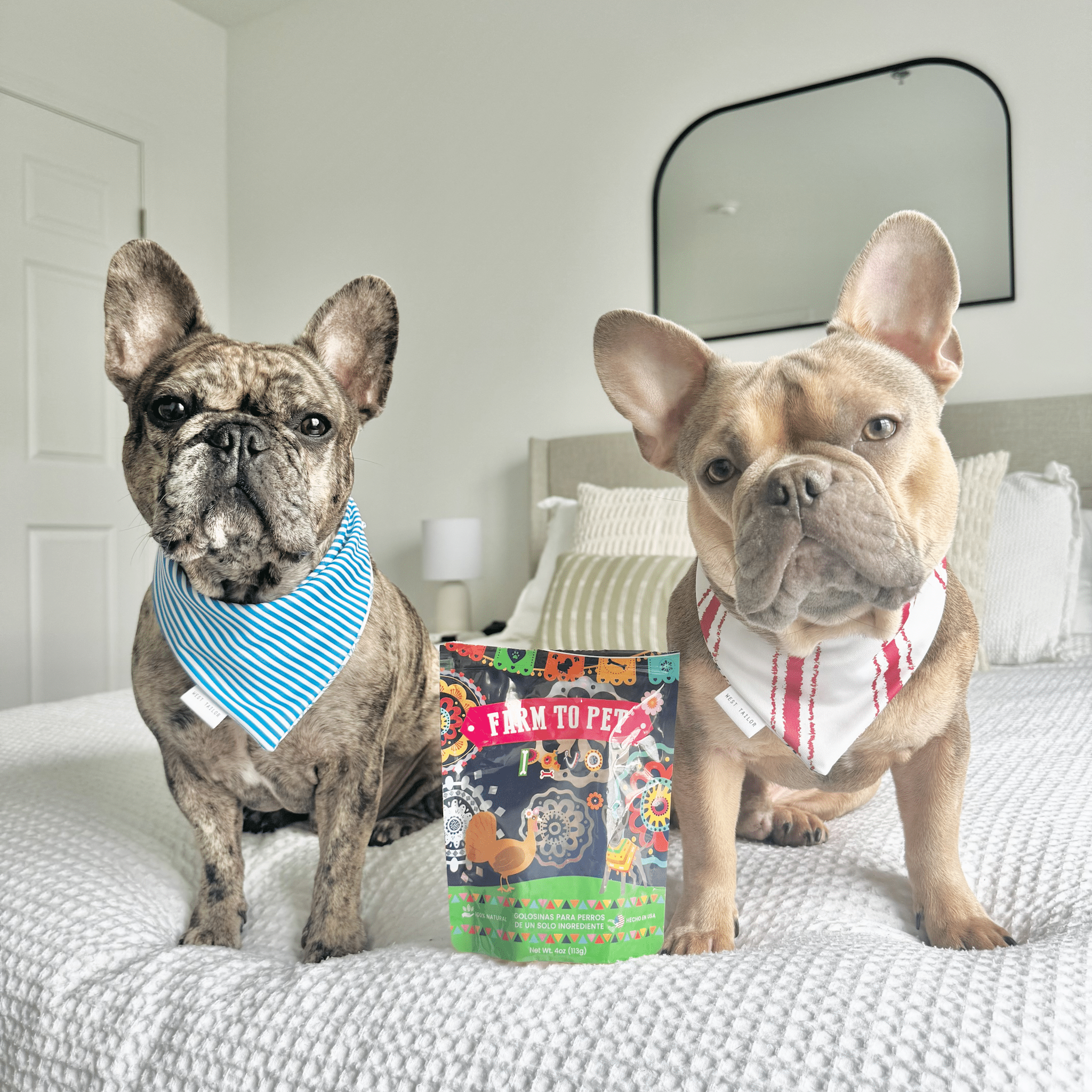 Dog Treats Party Pack | Dog Treat Variety Bundle
