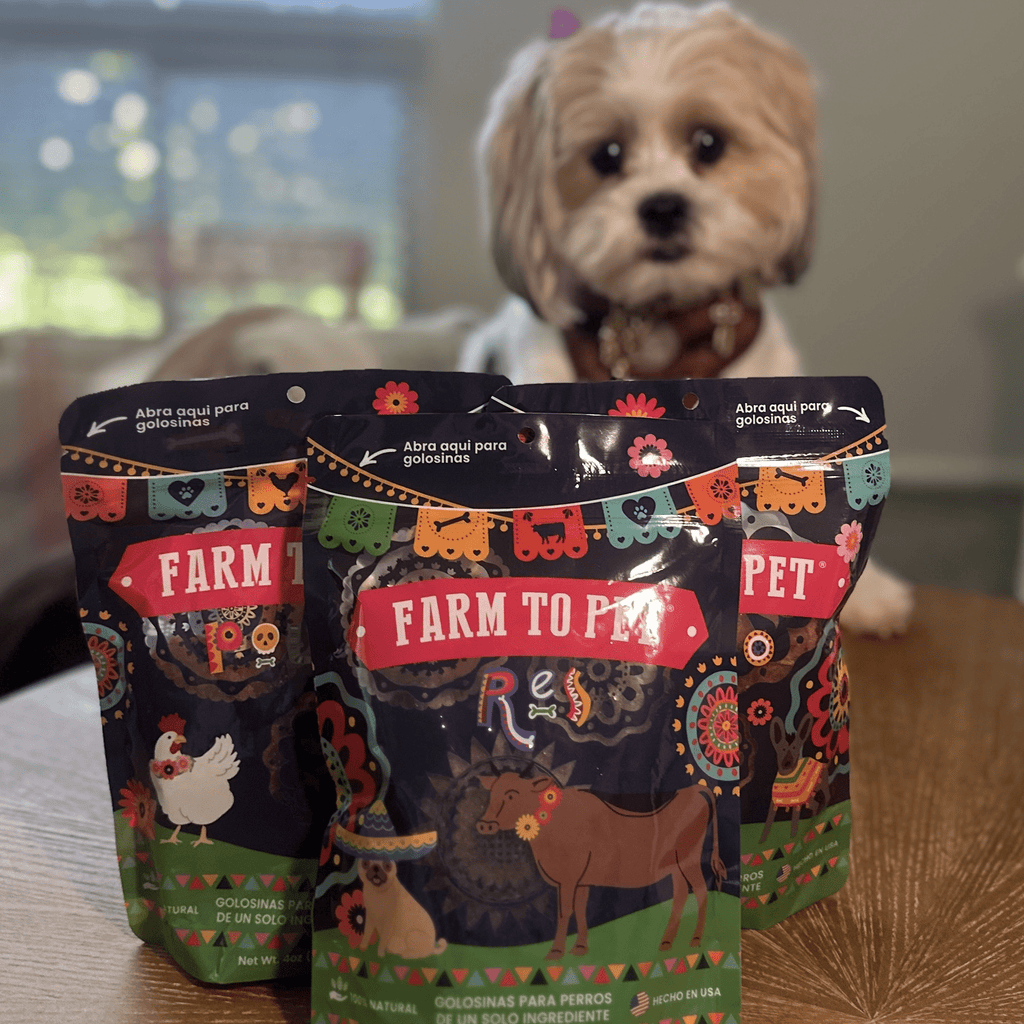 Dog Treats Party Pack | Dog Treat Variety Bundle