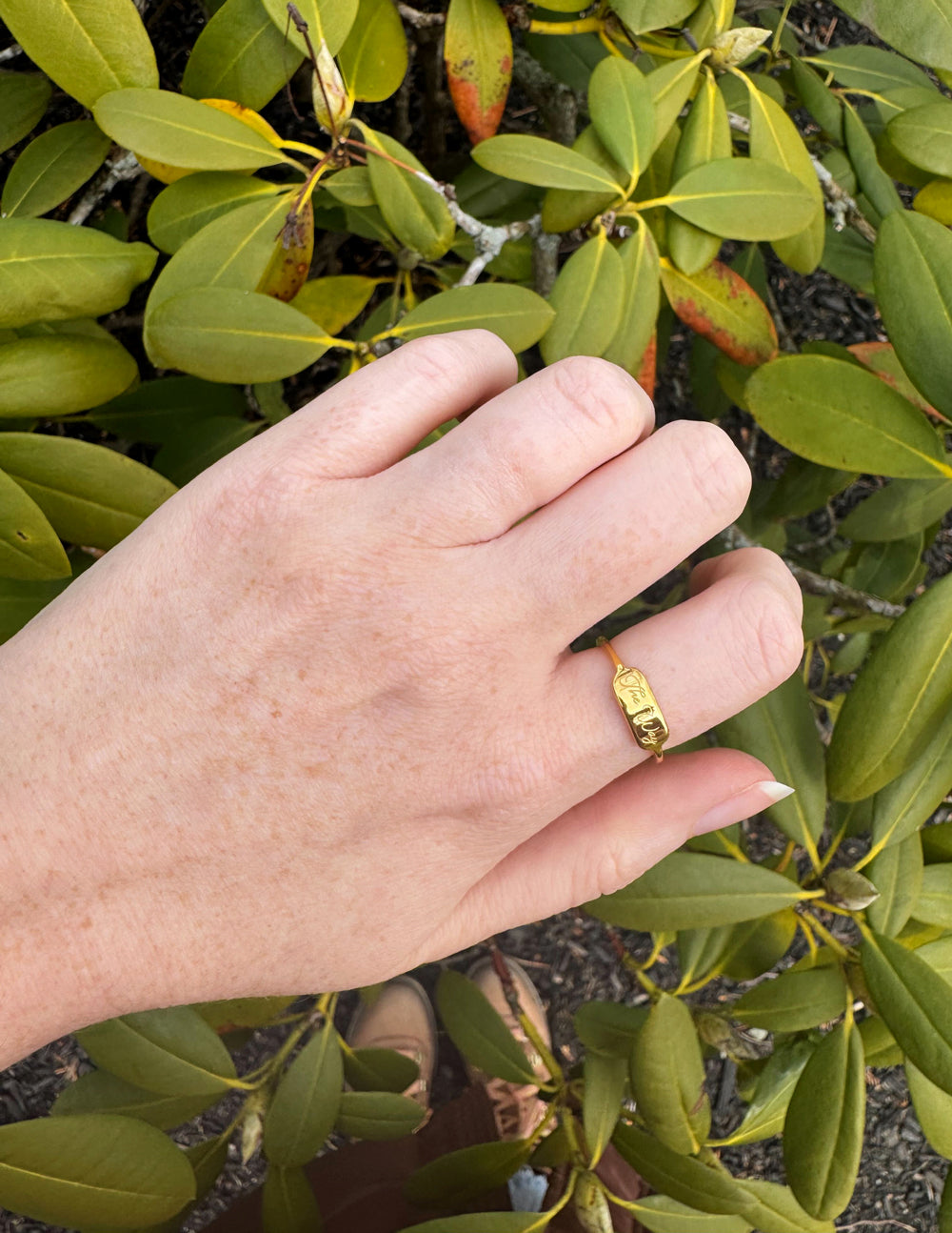 El Anillo del Camino