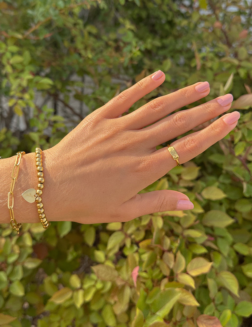 El Anillo del Camino