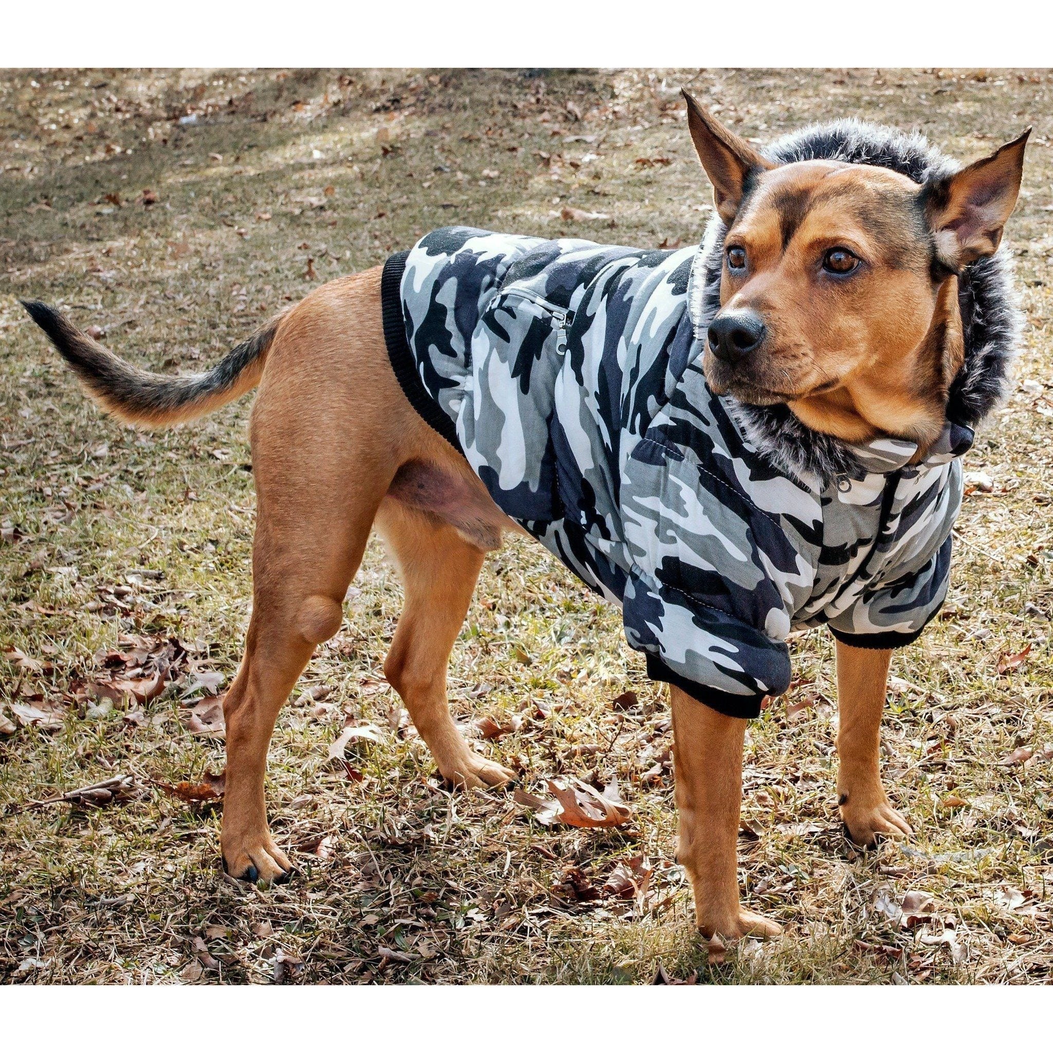 Pet Life ® Classic Metallic Fashion 3M Insulated Dog Coat Parka w/ Removable Hood