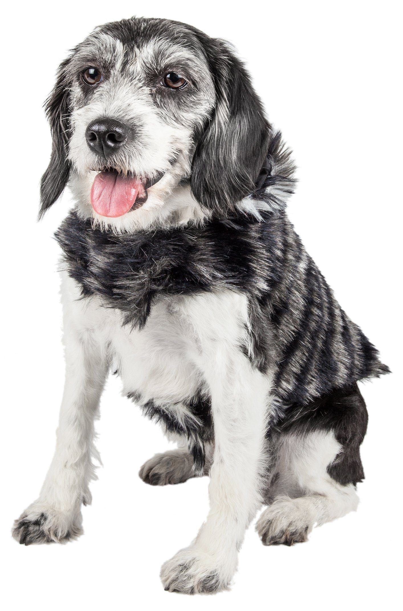 Pet Life ® Luxe 'Chauffurry' Zebra Patterned Designer Mink Fur Dog Coat