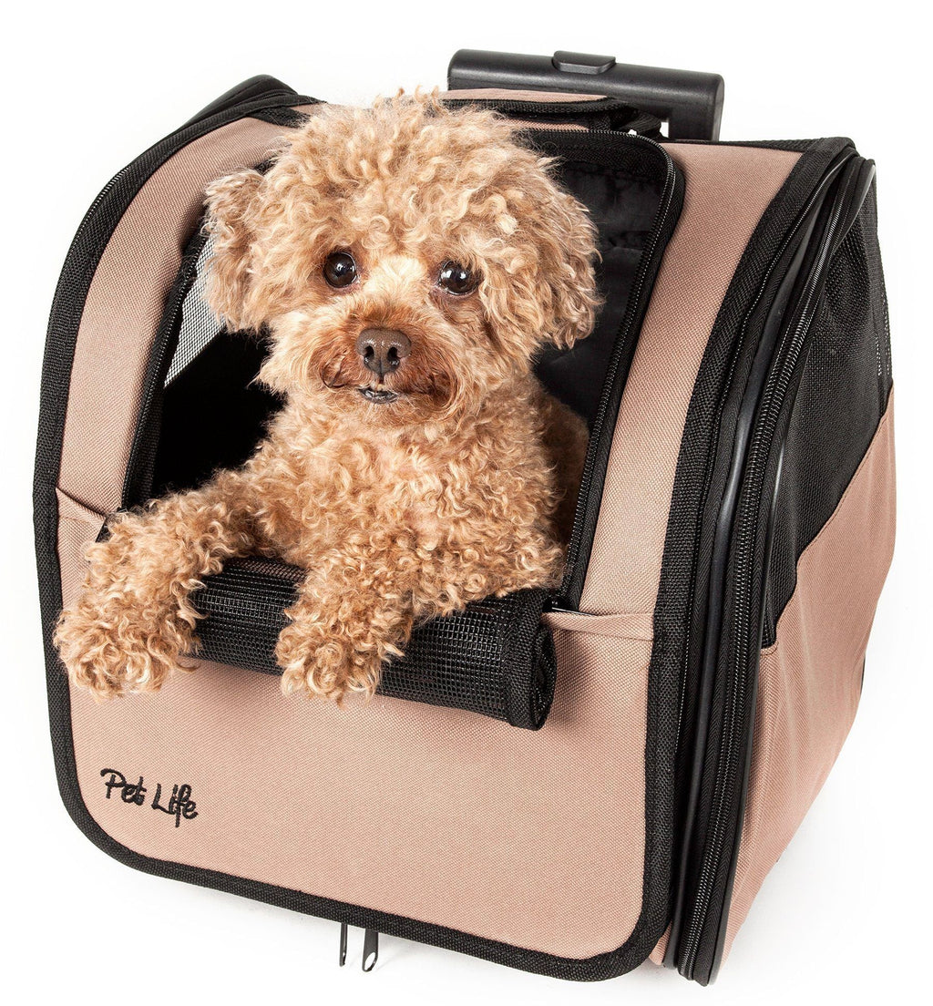 Pet Life ® 'Pawdon Me' Wheeled Airline Approved Travel Collapsible Pet Dog Carrier