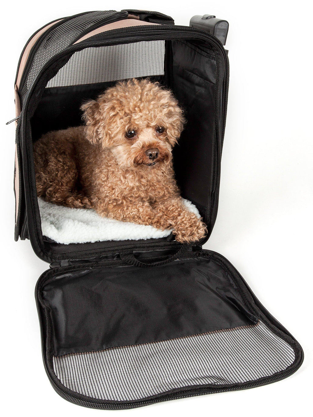 Pet Life ® 'Pawdon Me' Wheeled Airline Approved Travel Collapsible Pet Dog Carrier