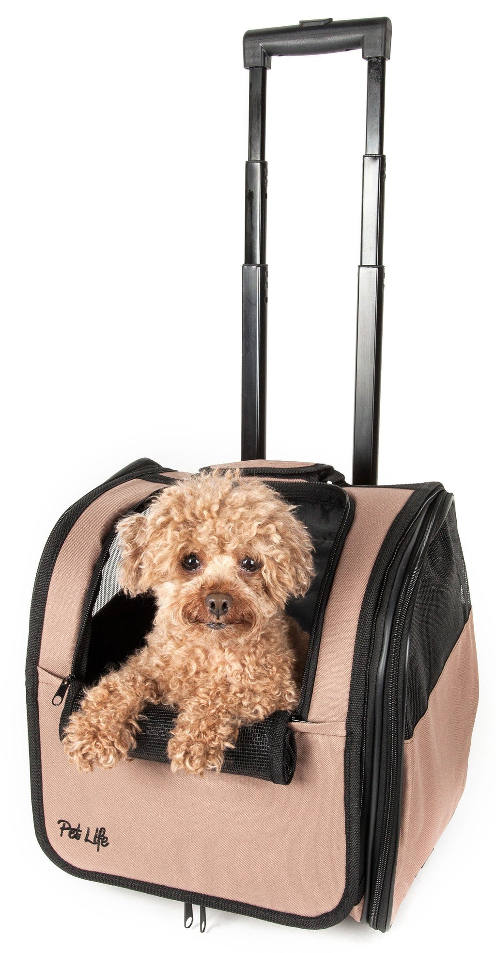 Pet Life ® 'Pawdon Me' Wheeled Airline Approved Travel Collapsible Pet Dog Carrier