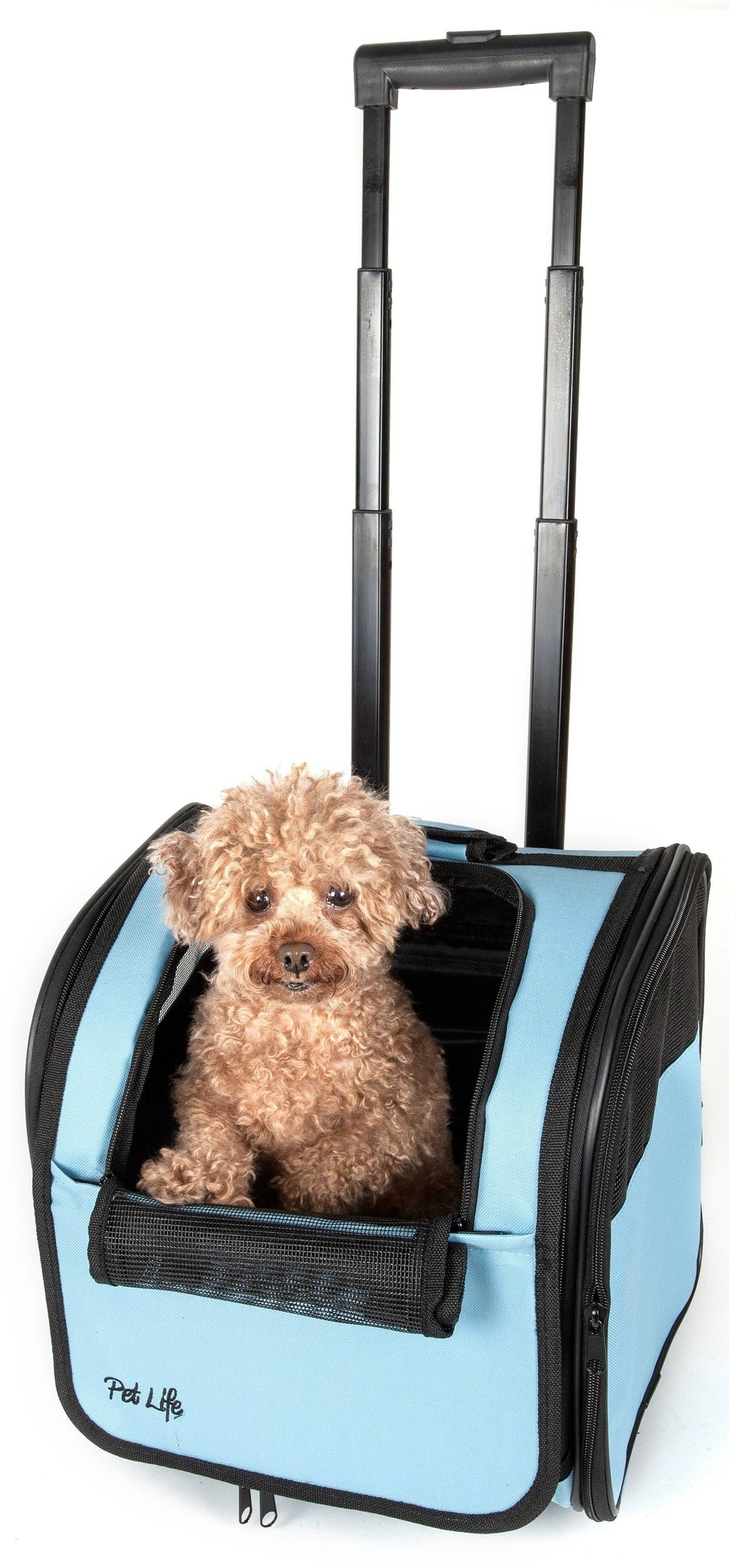 Pet Life ® 'Pawdon Me' Wheeled Airline Approved Travel Collapsible Pet Dog Carrier