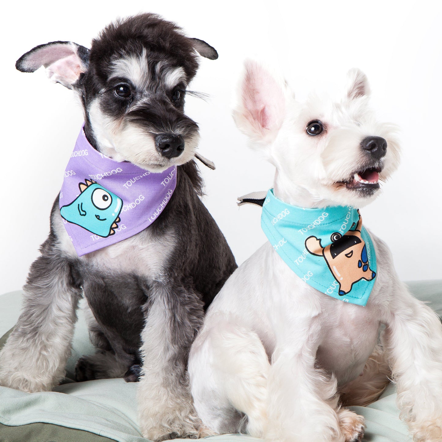 Touchdog Star Patterned Hook-and-Loop Fashion Dog Bandana